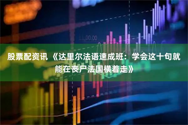 股票配资讯 《达里尔法语速成班：学会这十句就能在丧尸法国横着走》