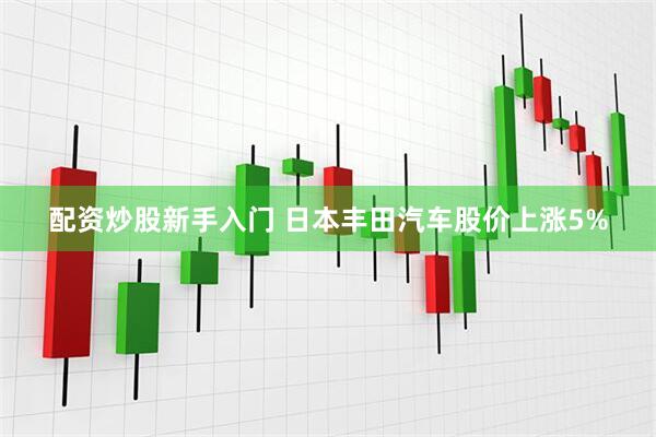 配资炒股新手入门 日本丰田汽车股价上涨5%