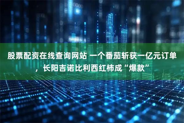 股票配资在线查询网站 一个番茄斩获一亿元订单，长阳吉诺比利西红柿成“爆款”