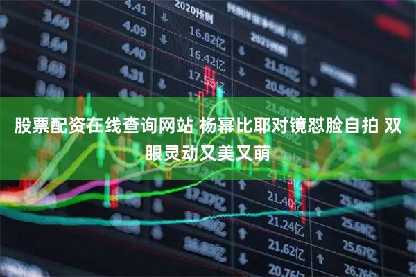 股票配资在线查询网站 杨幂比耶对镜怼脸自拍 双眼灵动又美又萌