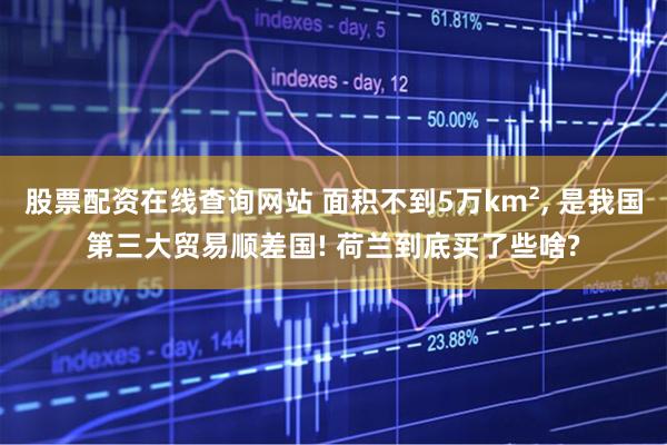 股票配资在线查询网站 面积不到5万km², 是我国第三大贸易顺差国! 荷兰到底买了些啥?