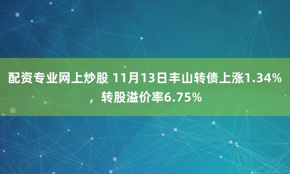 配资专业网上炒股 11月13日丰山转债上涨1.34%，转股溢价率6.75%
